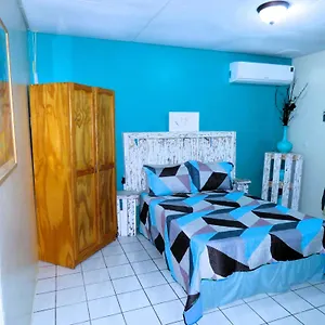 Artist Curacao Willemstad